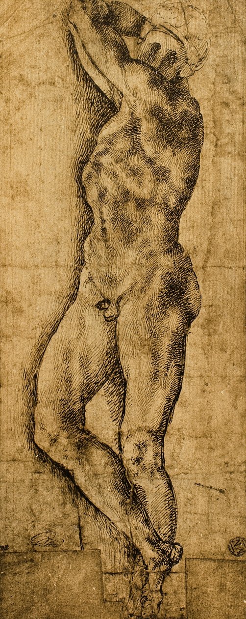Naken mann; tegning av Michelangelo. Louvre, Paris av Michelangelo Buonarroti