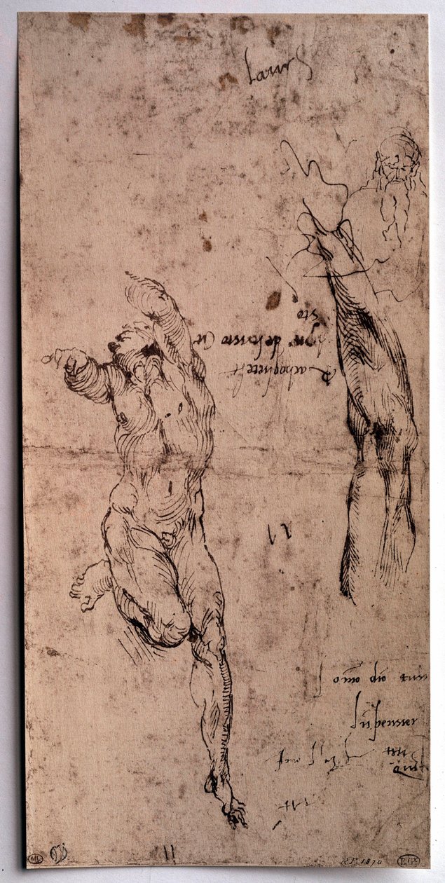 Naken mann, armstudie Tegning av Michelangelo Buonarroti dit Michelangelo (Michelangelo eller Michel Ange av Michelangelo Buonarroti