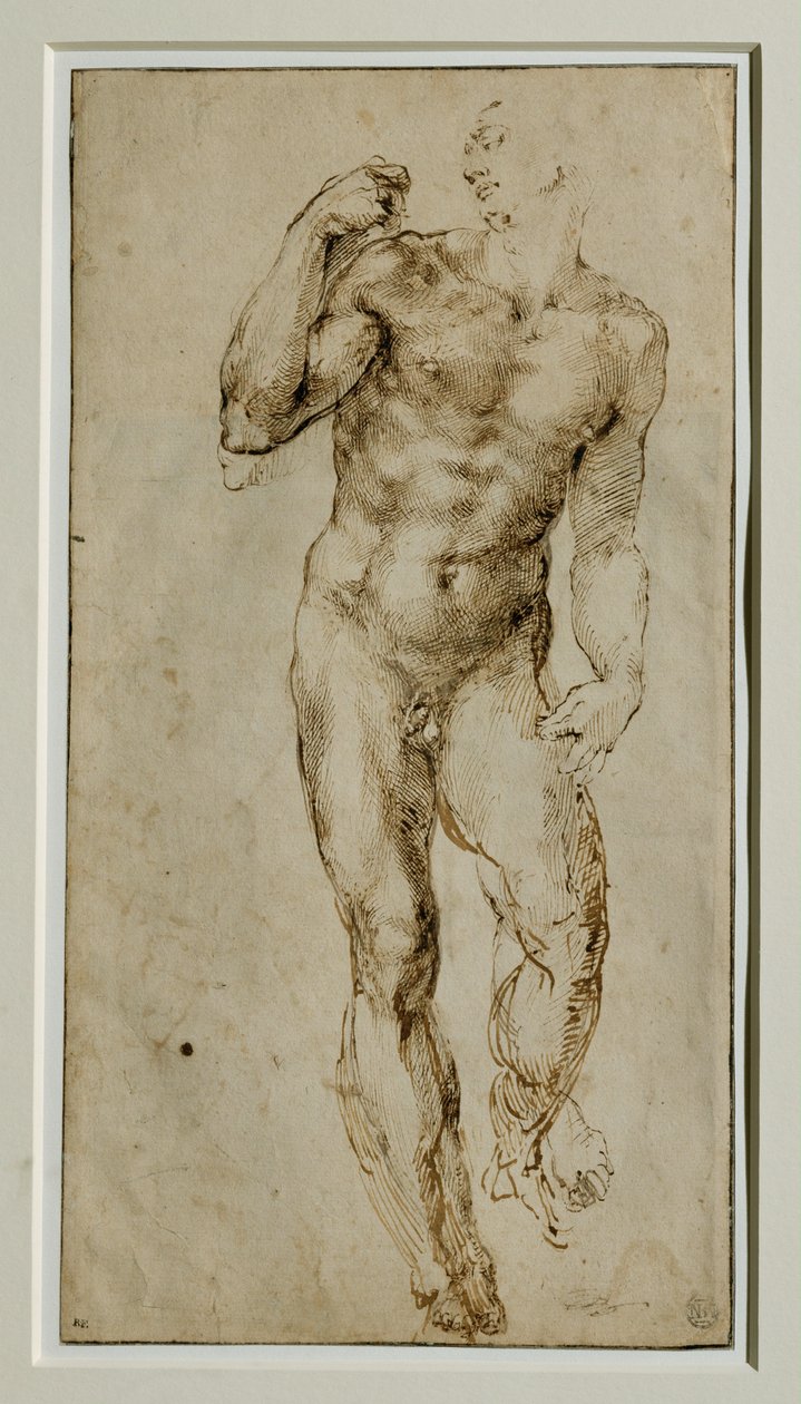  av Michelangelo Buonarroti