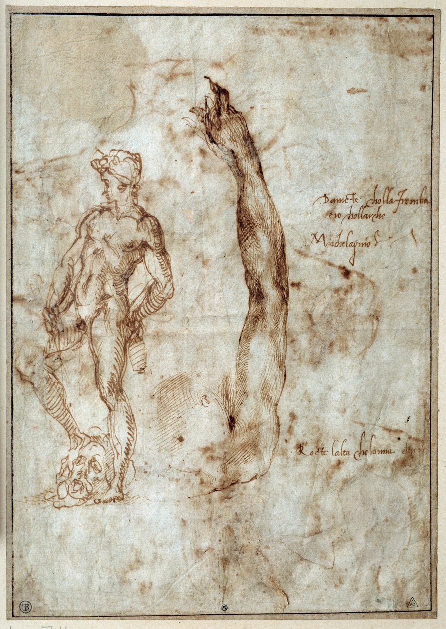 Nakenstudie. Michelangelo Buonarroti dit Michelangelo (Michelangelo eller Michel Ange av Michelangelo Buonarroti