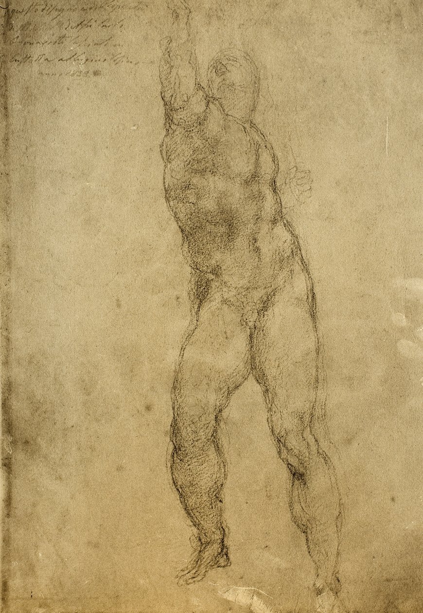 Nakenstudie, tegning av Michelangelo. Gallerie dellAccademia, Venezia av Michelangelo Buonarroti
