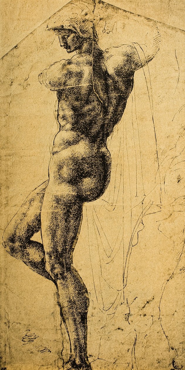 Nakenstudie; tegning av Michelangelo. Musée du Louvre, Paris av Michelangelo Buonarroti
