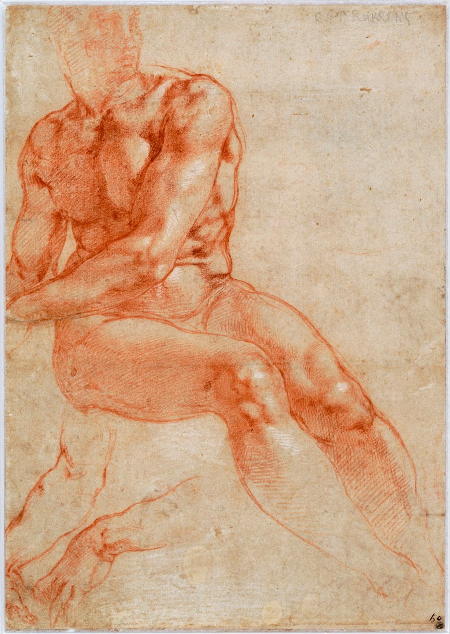 Sittende unge mannlige naken- og toarmsstudier, ca 1510-1511 av Michelangelo Buonarroti