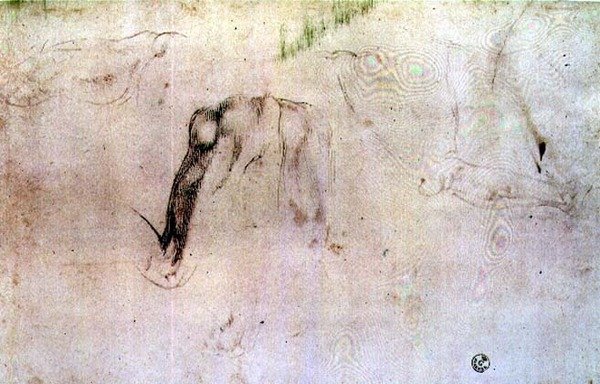 Skisse av ben (kull på papir) av Michelangelo Buonarroti