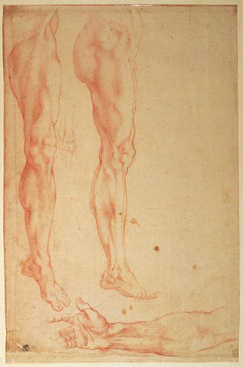 Studier av ben og armer (rødt kritt på papir) av Michelangelo Buonarroti