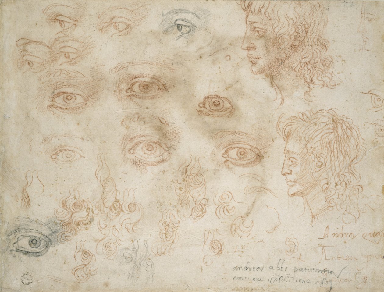 Studies of Two Heads, ca. 1525 (kritt på papir) av Michelangelo Buonarroti