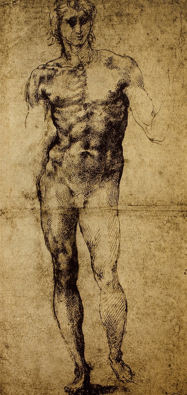 Studie for en mannlig naken, Michelangelo Buonarroti (1475-1564), tegning, Paris, Louvre-museet av Michelangelo Buonarroti