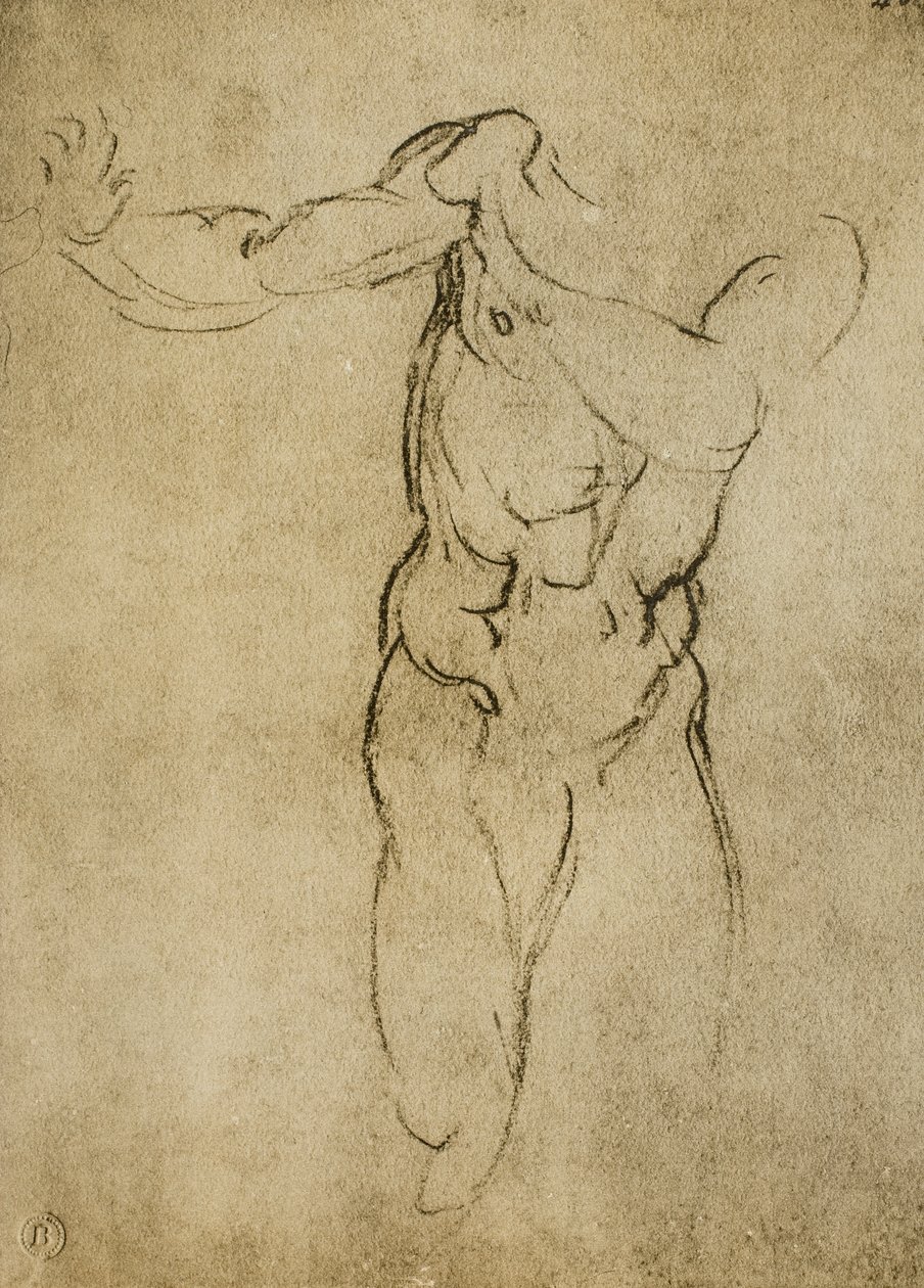 Studie for en maskulin byste, tegning av Michelangelo. Casa Buonarroti, Firenze av Michelangelo Buonarroti