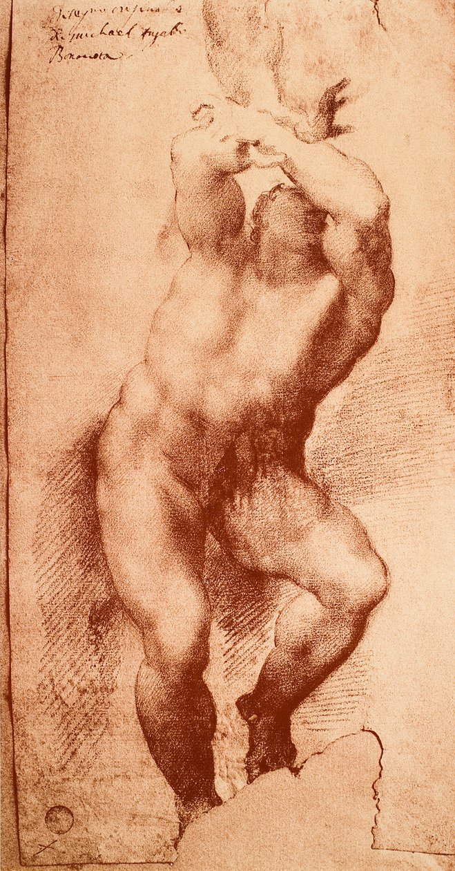 Studer for en av figurene til den siste dommen, tegning av Michelangelo. Gallerie dellAccademia, Venezia av Michelangelo Buonarroti