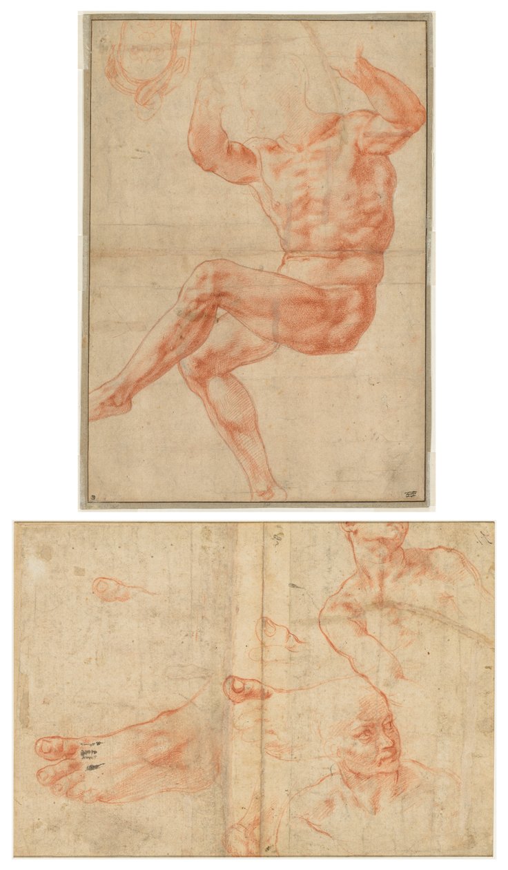 Studie for naken ungdom over profeten Daniel (recto); Figurstudier for det sixtinske taket (verso) av Michelangelo Buonarroti