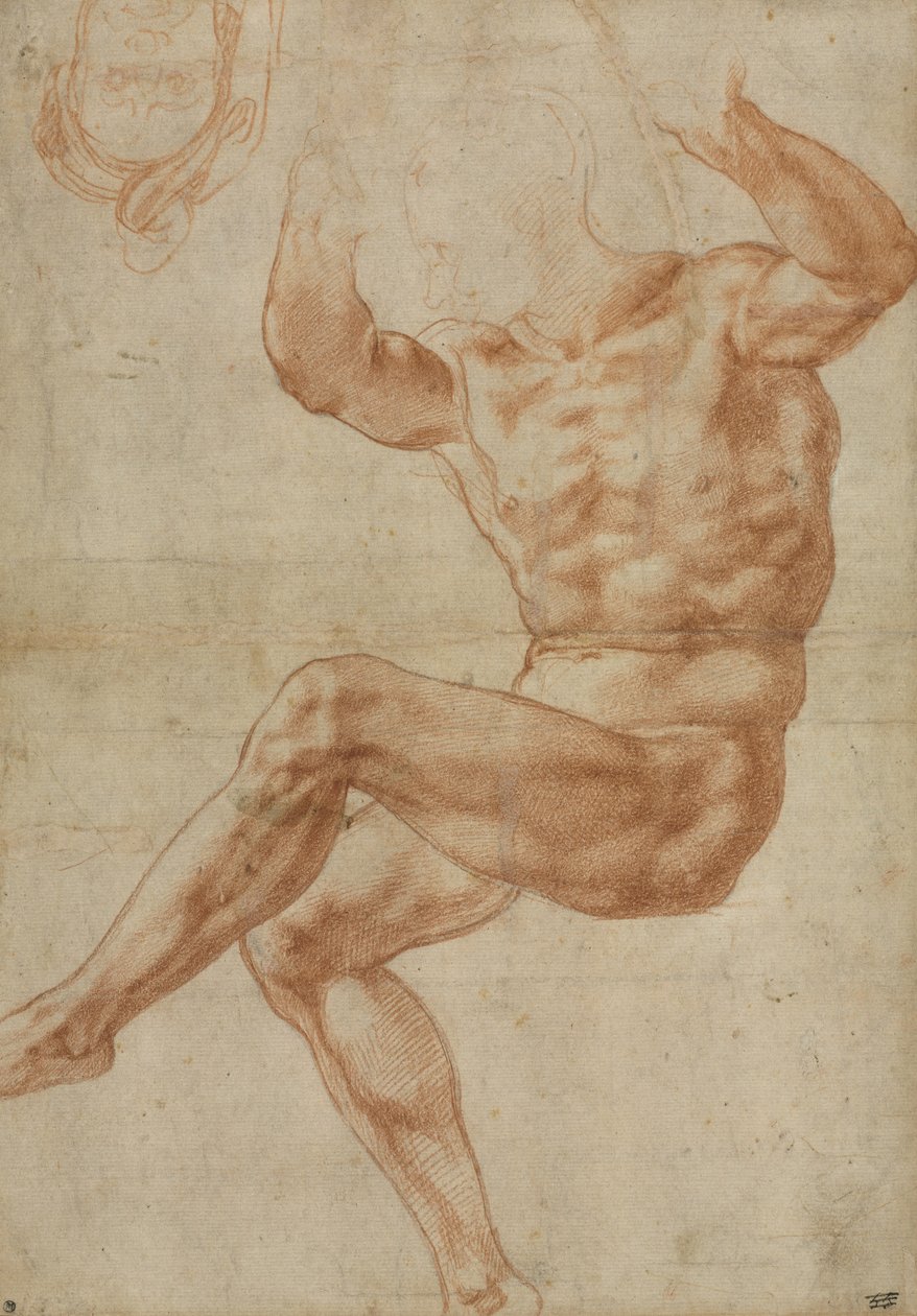 Studie for naken ungdom over profeten Daniel, for det sixtinske tak, 1510-11 av Michelangelo Buonarroti