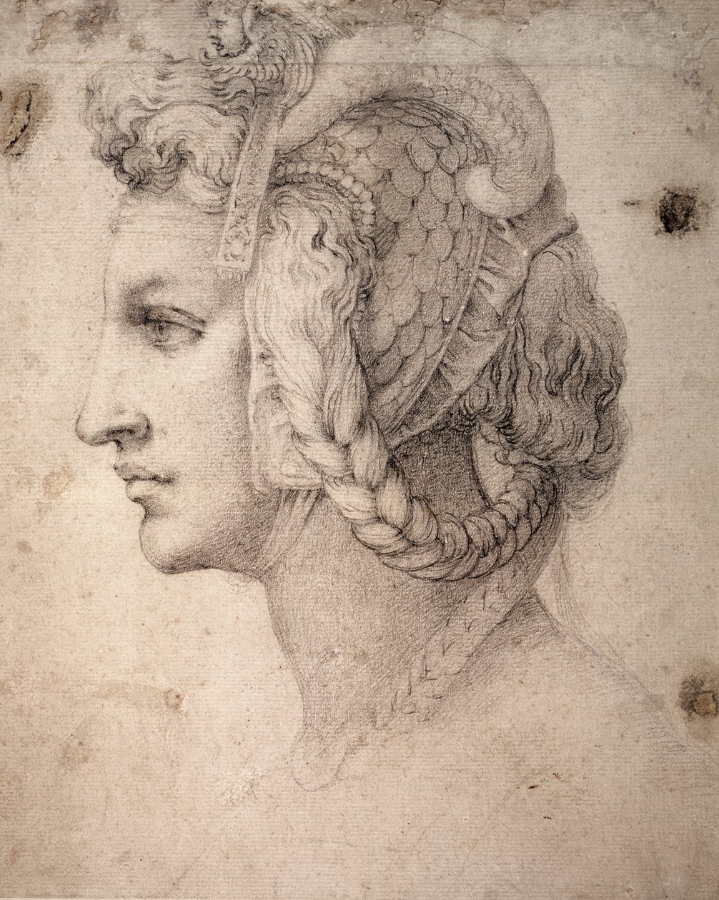 Studie av hodet av Michelangelo Buonarroti