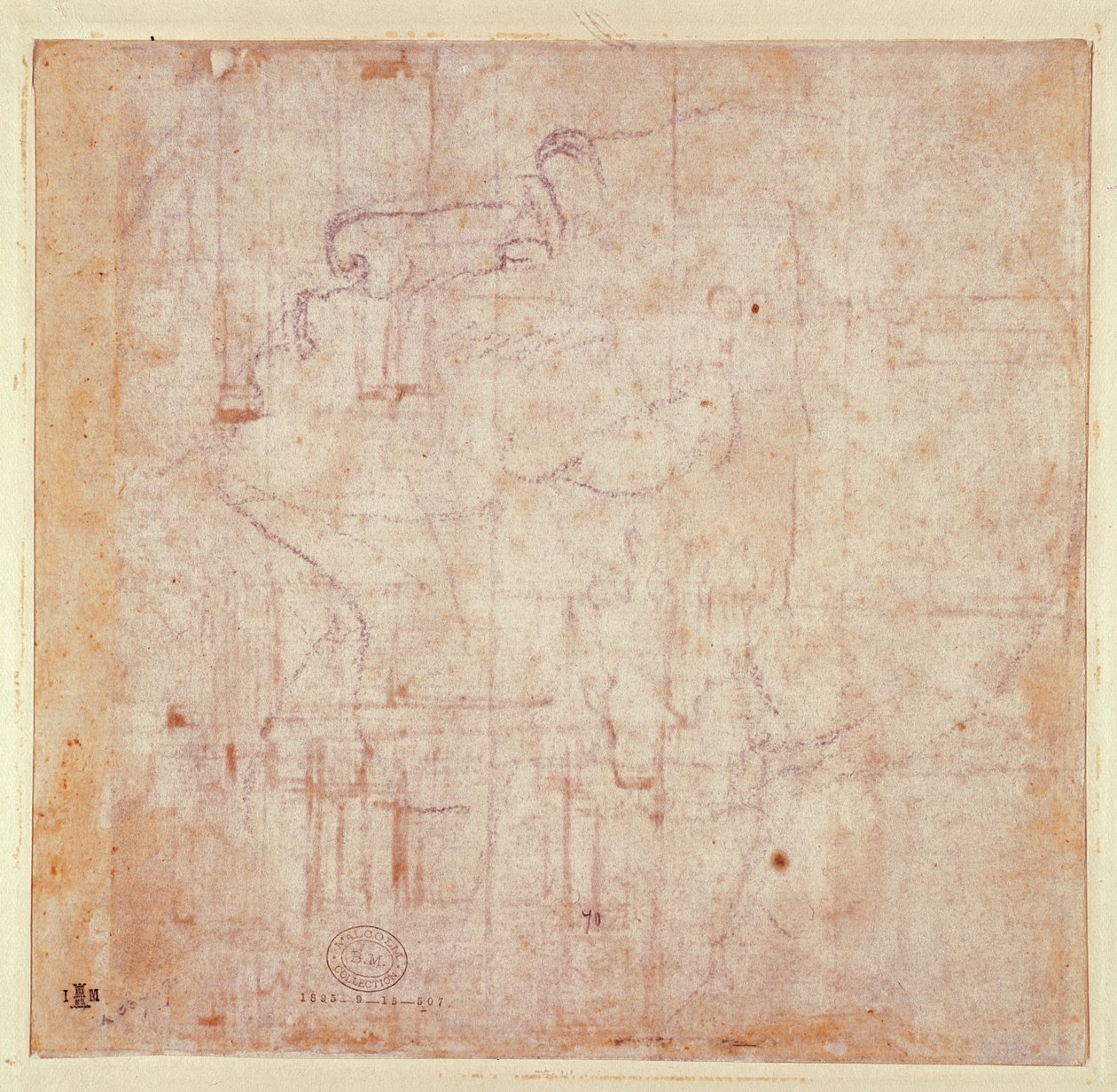 Study of a Head, 1525-26 (svart kritt på papir) (verso) (for recto se 191779) av Michelangelo Buonarroti