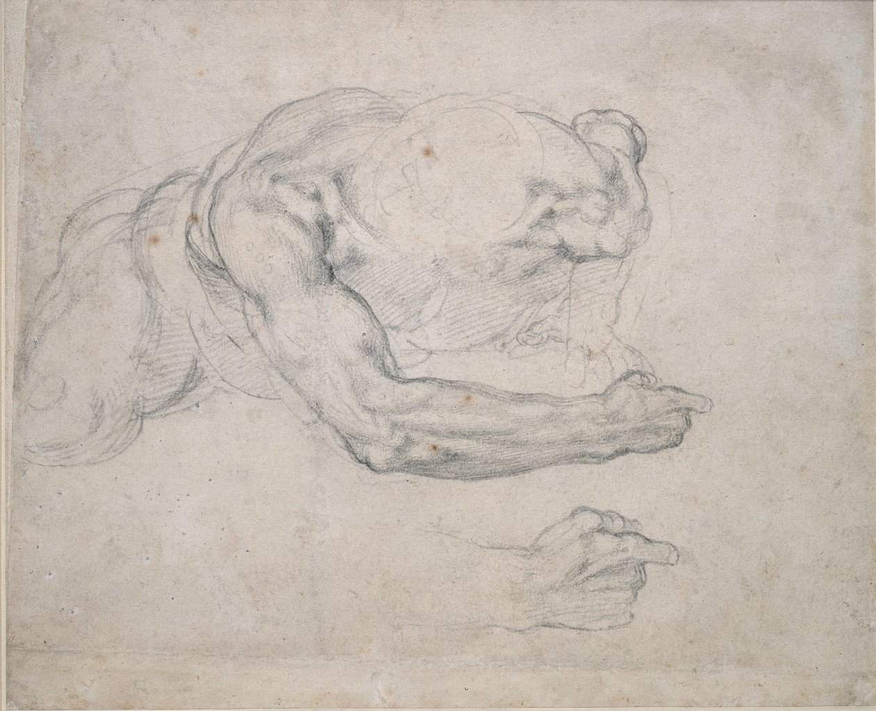 Studie av en mann som reiser seg fra bakken, 1500-tallet av Michelangelo Buonarroti