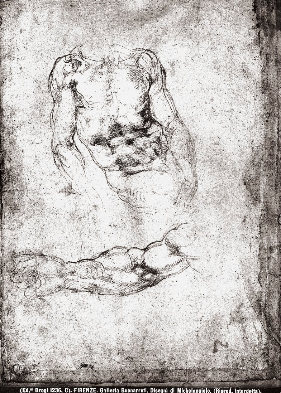 Studie av en mannlig torso og arm av Michelangelo Buonarroti