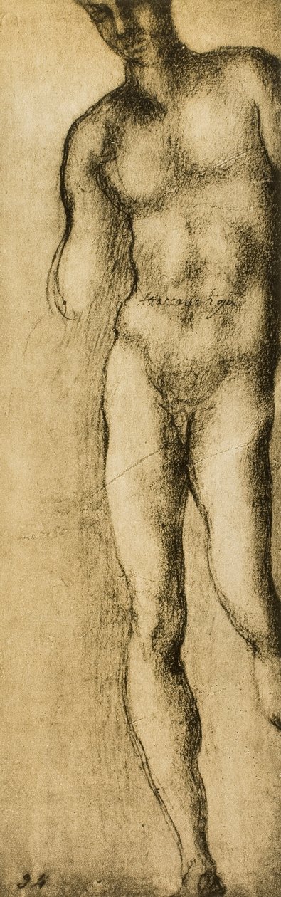 Studie av en maskulin figur, tegning av Michelangelo. Casa Buonarroti, Firenze av Michelangelo Buonarroti