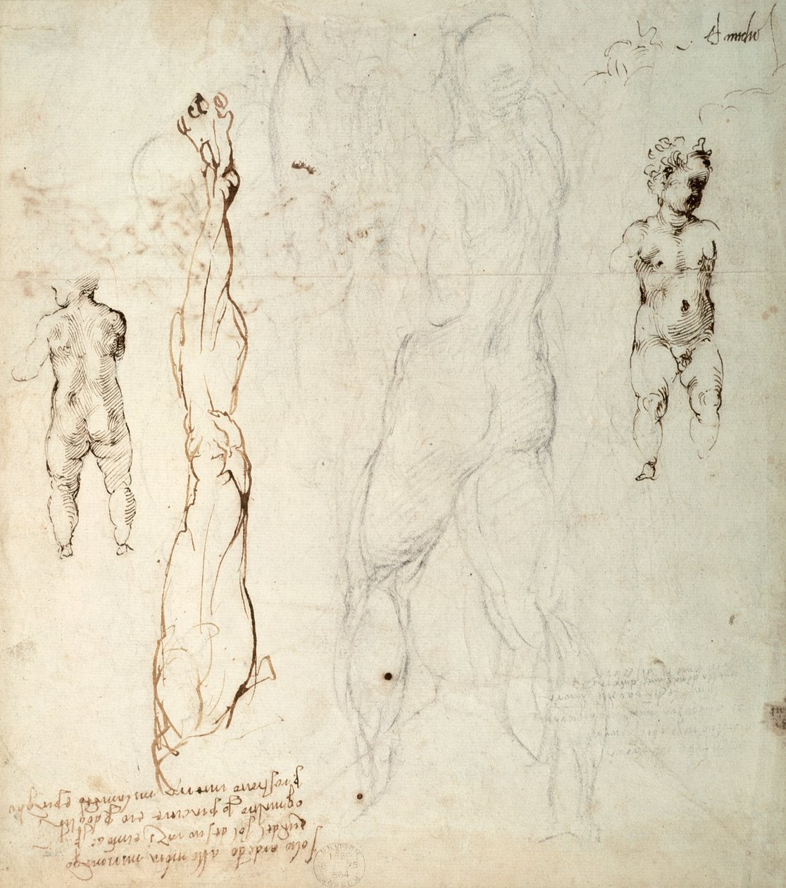 Studie av Kristusbarnet og en anatomisk tegning med notater (svart kritt og brunt blekk på papir) (verso) av Michelangelo Buonarroti