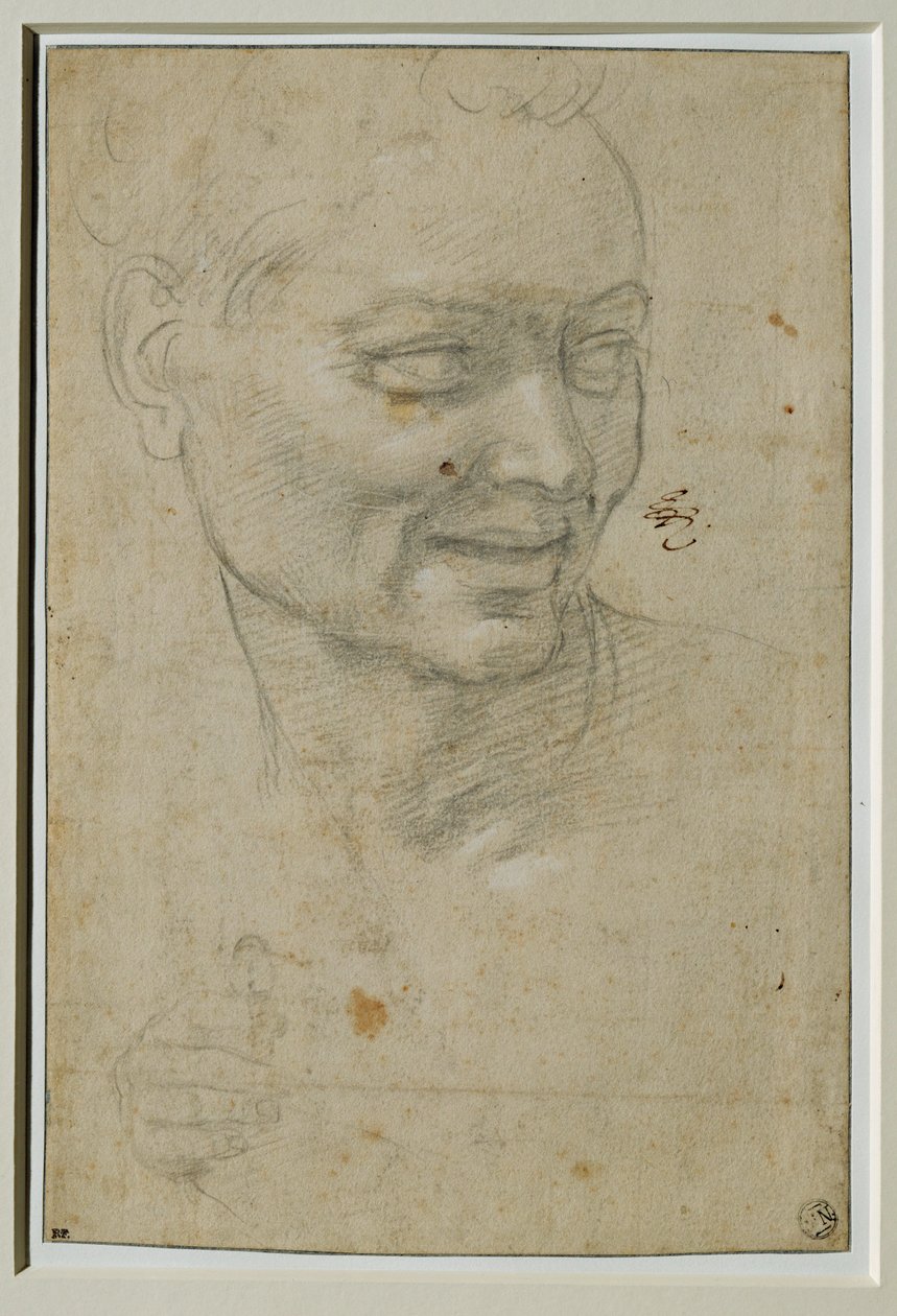  av Michelangelo Buonarroti