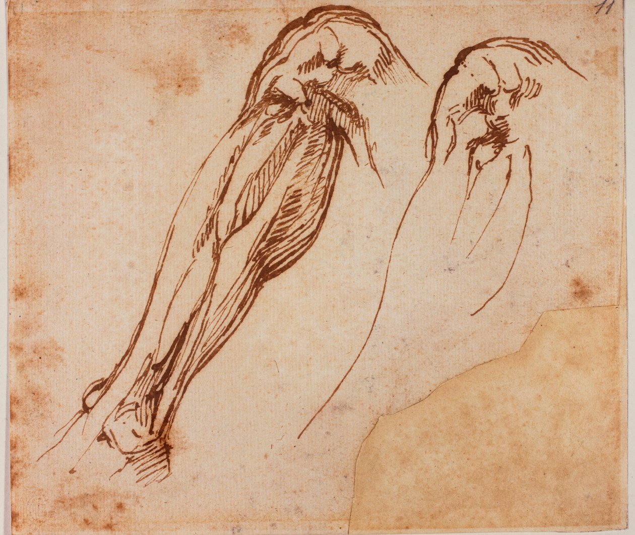  av Michelangelo Buonarroti
