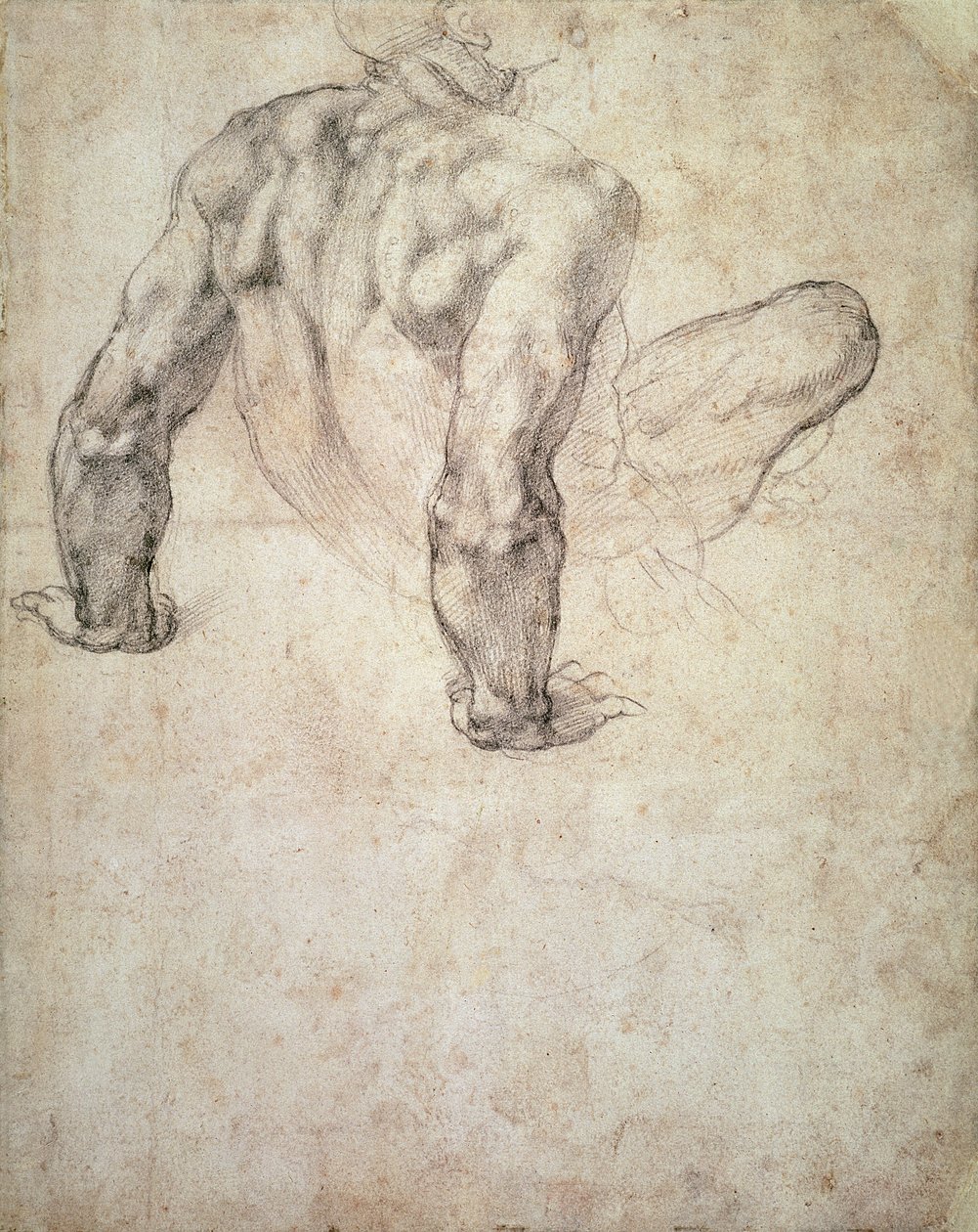 W.63r Studie av en naken mann, lener seg tilbake på hendene av Michelangelo Buonarroti