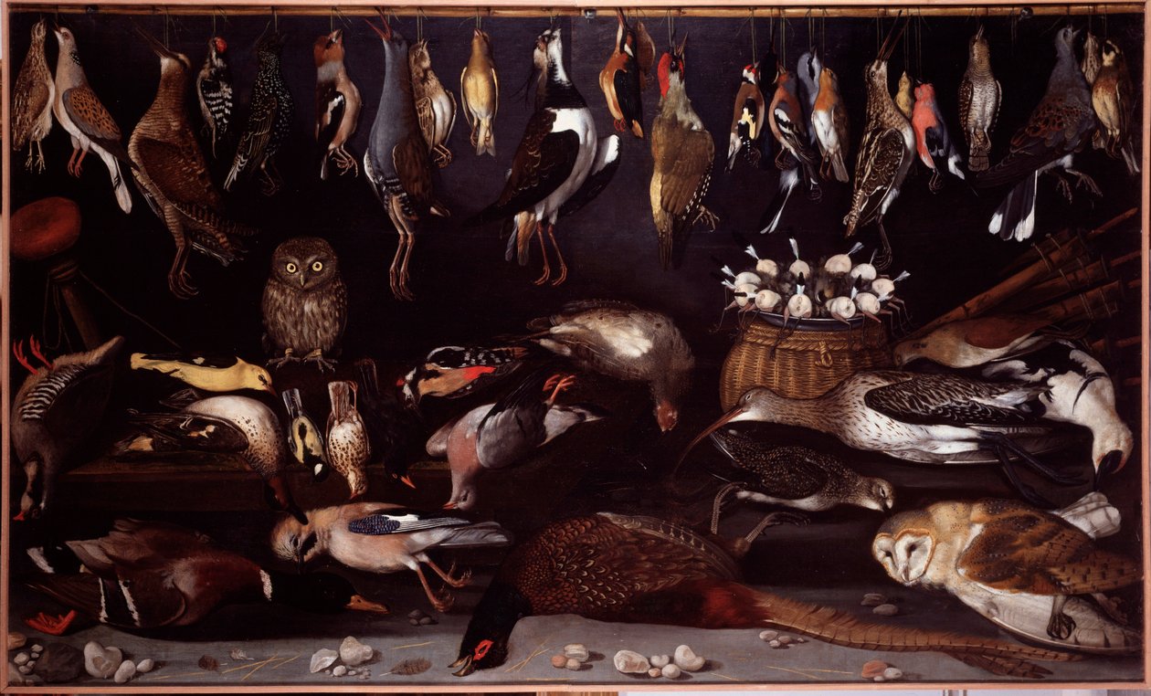 Stilleben med fugler (fugl) Maleri tilskrevet Michelangelo Merisi dit Caravaggio (Caravaggio) (1571-1610) Roma Galleria Borghese av Michelangelo Merisi da (attr. to) Caravaggio
