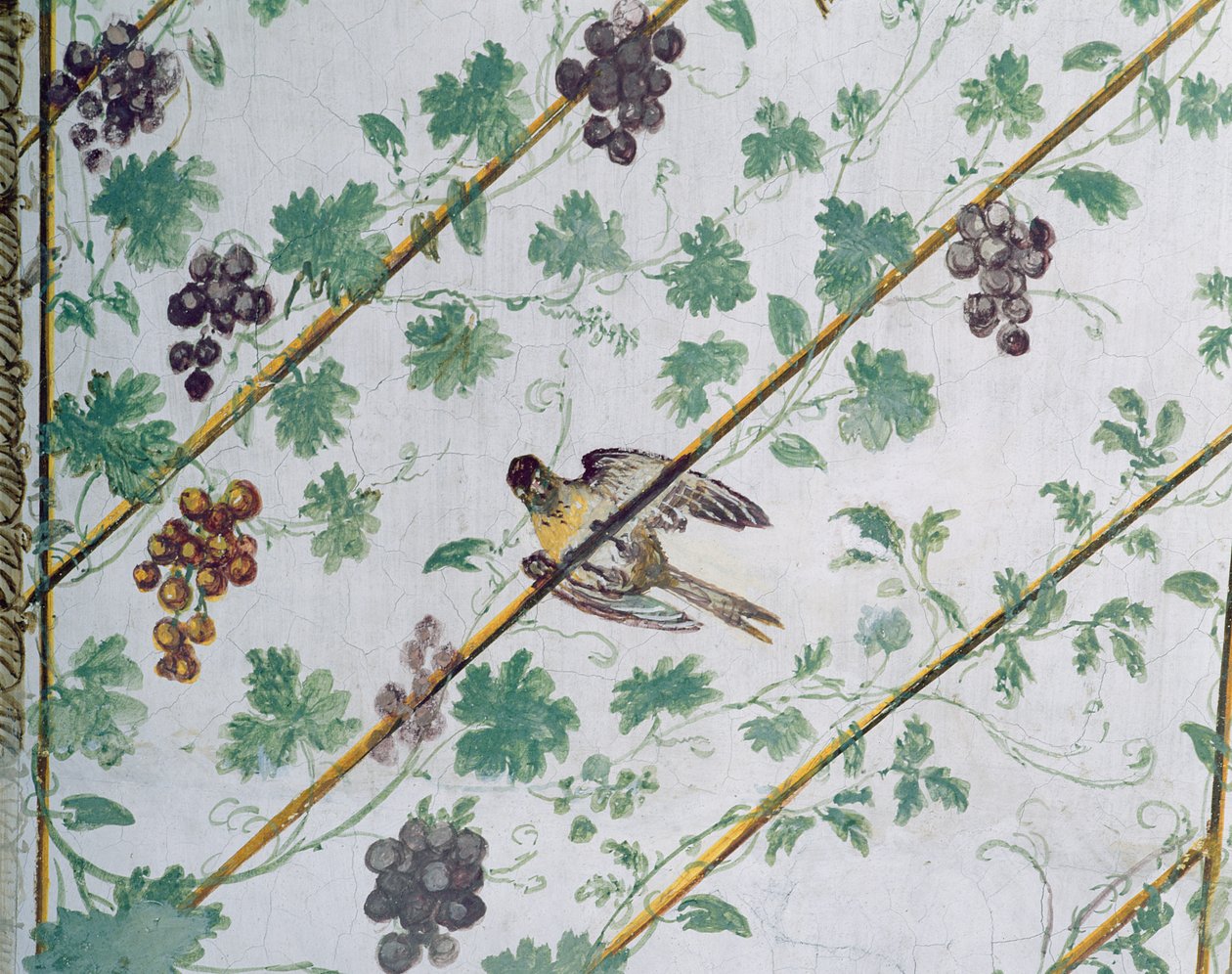 Detalj av hvelvet i kjelleren, Villa Medicea di Careggi-foto av Michelozzo di Bartolommeo
