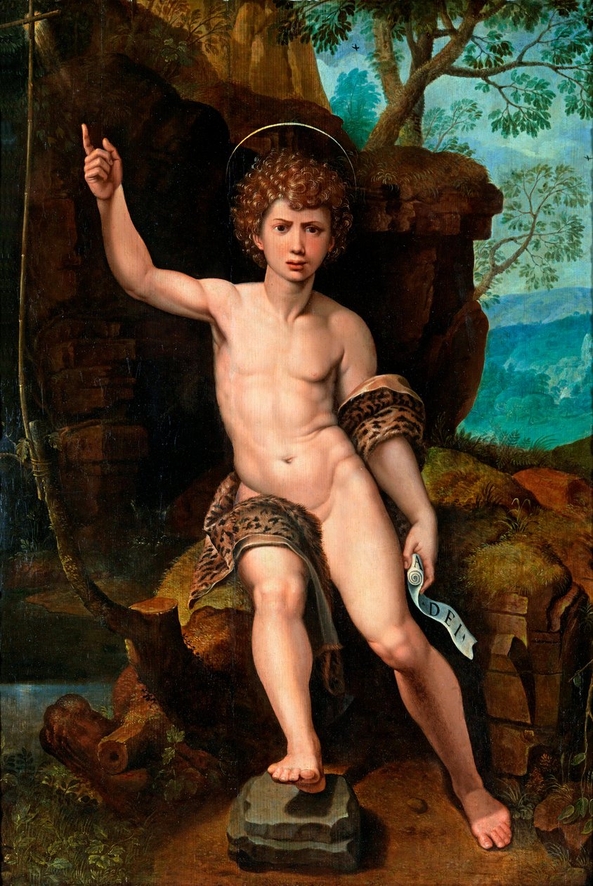 ""Representasjon av døperen Johannes"" (Døperen Johannes) Maleri av Michael Coxcie (Michiel Coxien) (De Coxien, De Coxcie, Coxius, Van Coxcie og Coxie) (1499-1592) 1500-tallet Olje på tre Dim 104x73 cm Privat samling av Michiel I Coxie or Coxcie