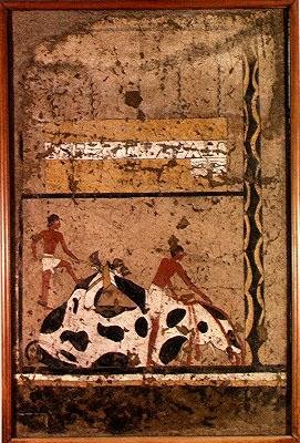 Begravelsesoffer av en okse, fra graven til Iti (veggmaleri) av Middle Kingdom Egyptian