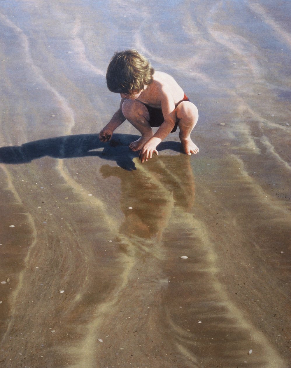 Leter etter skjell av Mike Briscoe