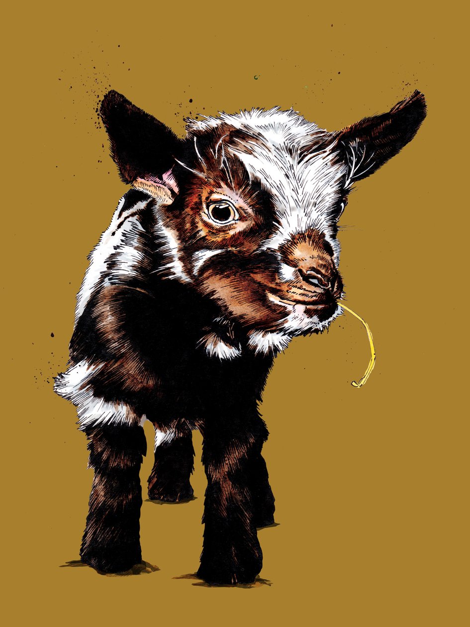 Babygeit på Golden Yellow, 2020 av Mike Davis