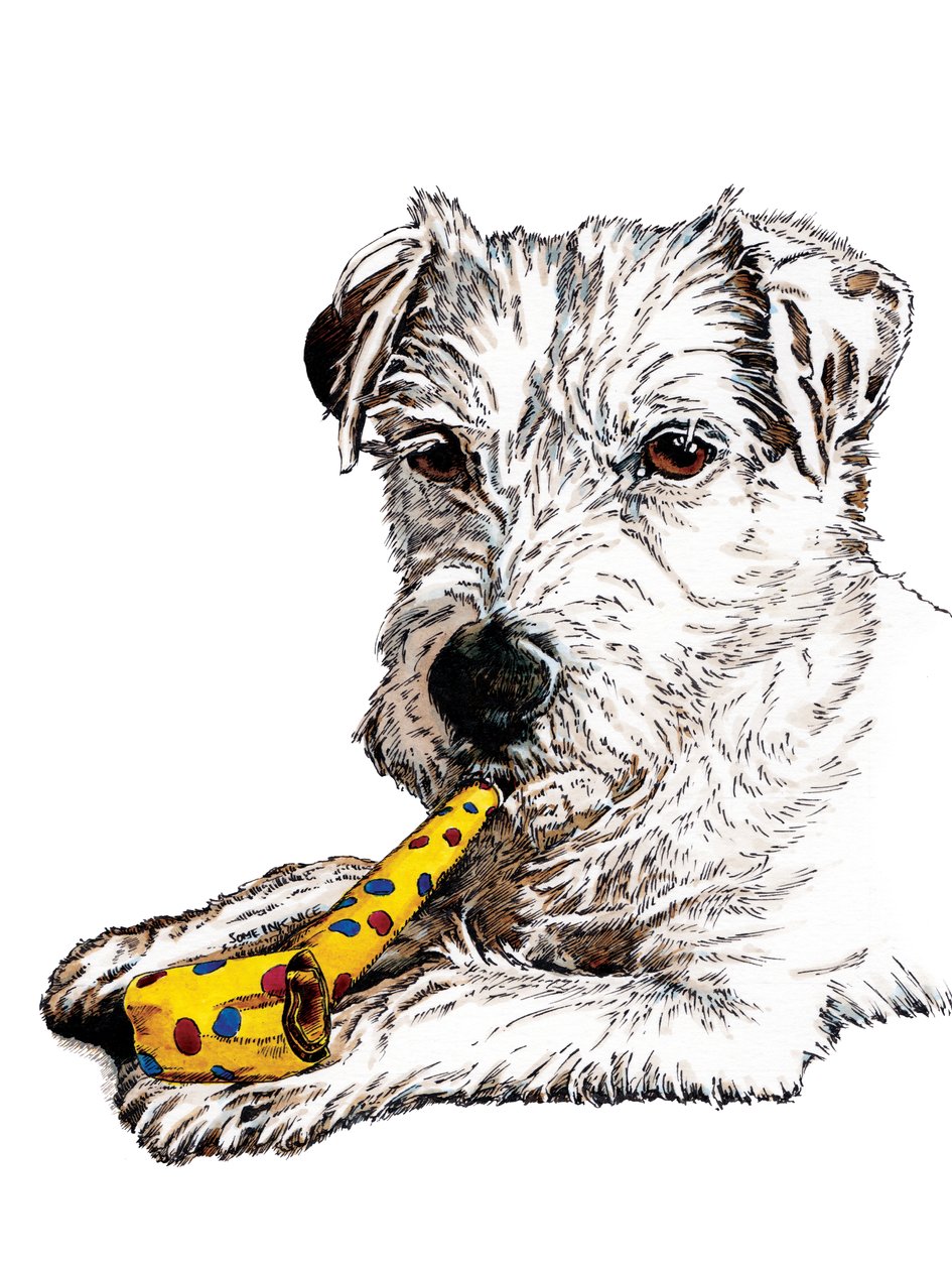 Bursdagsprest Parson Dog on White, 2020 av Mike Davis