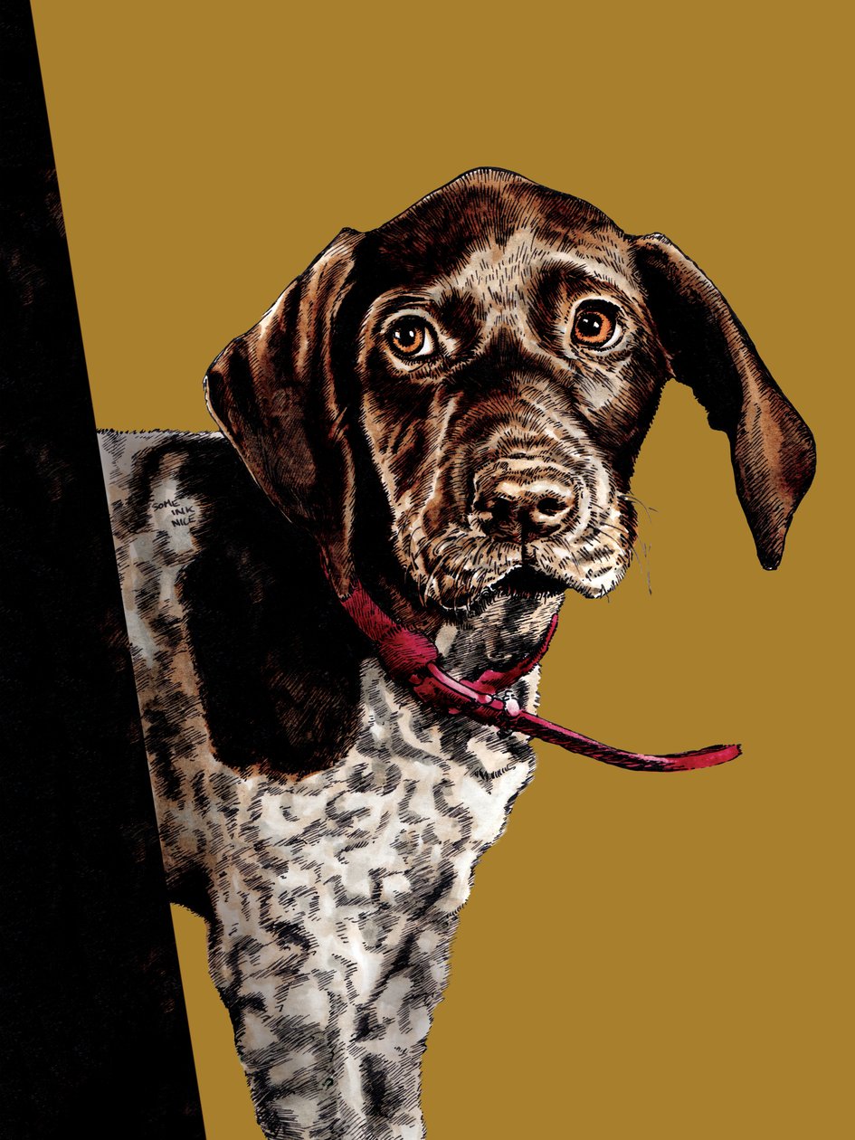 Bye Bye Puppy på Golden Yellow, 2020 av Mike Davis