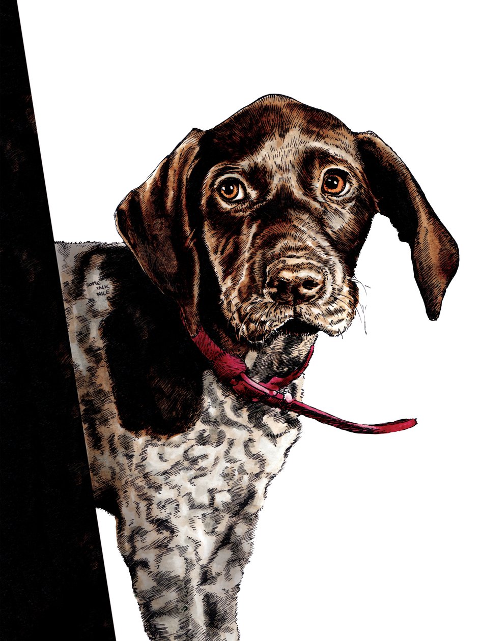 Bye Bye Puppy on White, 2020 av Mike Davis