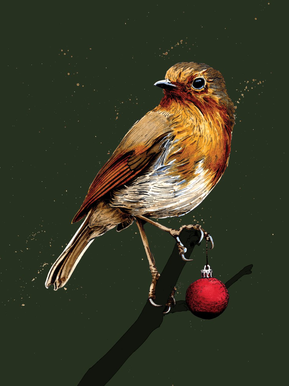 Christmas Robin på Forest Green, 2020 av Mike Davis