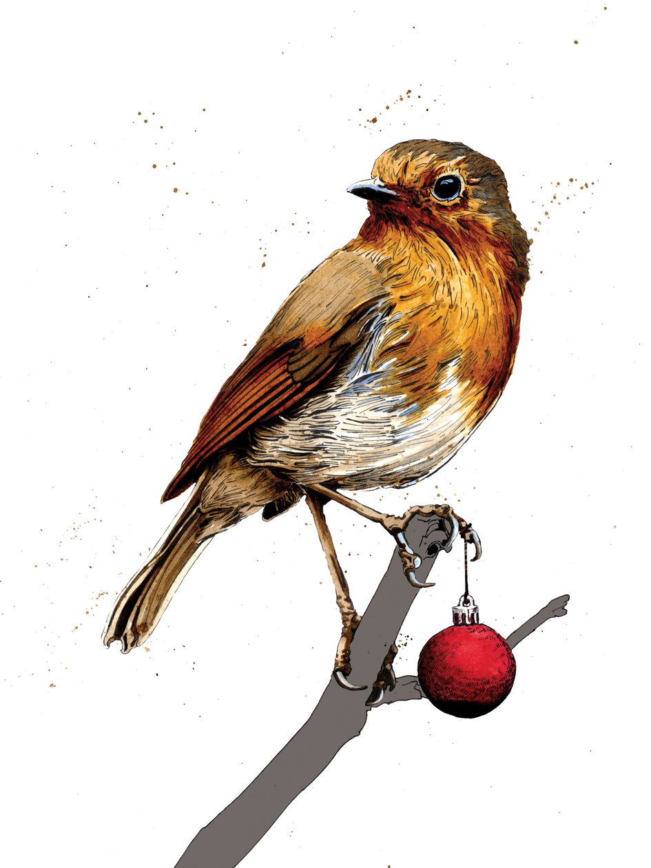 Christmas Robin on White, 2020 av Mike Davis
