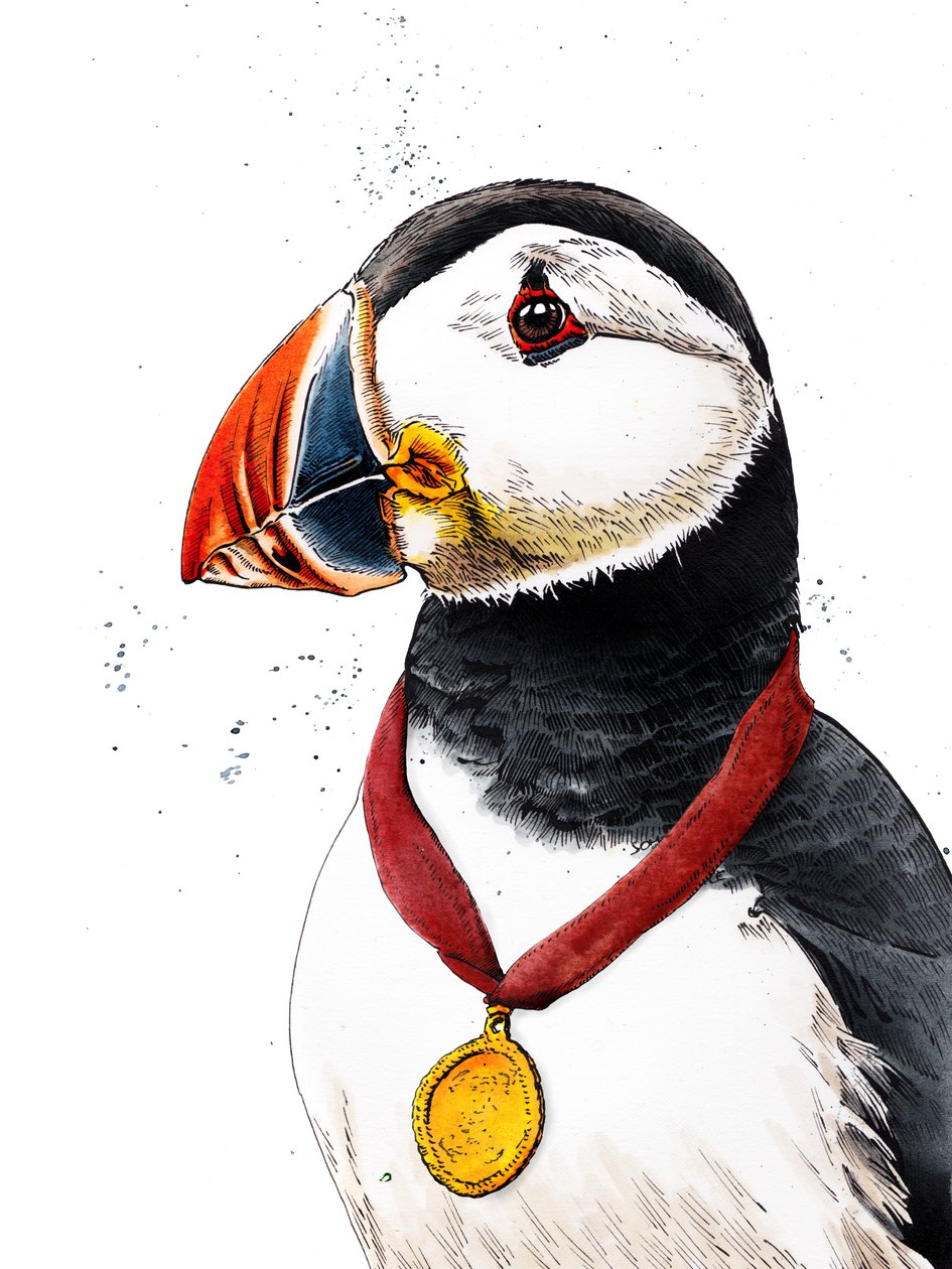 Gratulerer Puffin on White, 2020 av Mike Davis