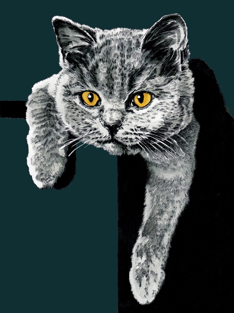 Flora The Kitten på Deep Cyan, 2020 av Mike Davis