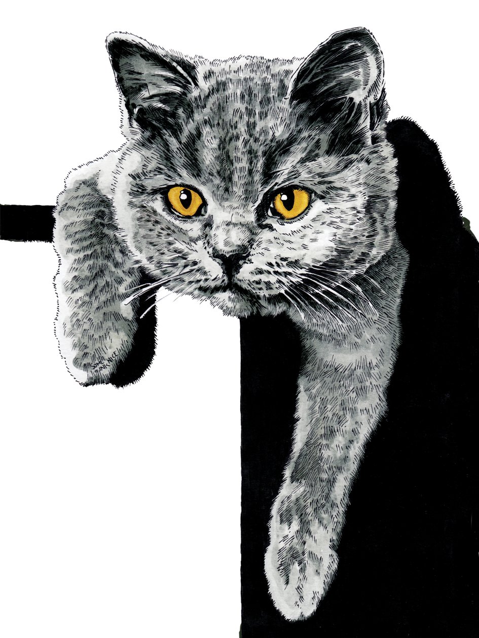 Flora The Kitten on White, 2019 av Mike Davis
