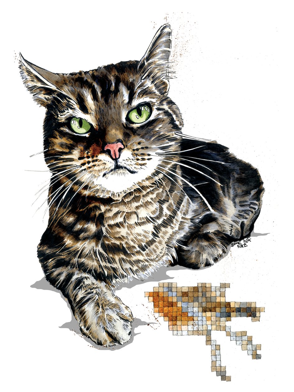 Gift Cat on White, 2020 av Mike Davis