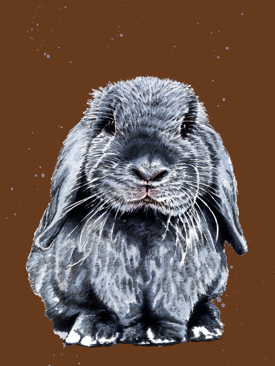 Grey One The Bunny on Burnt Orange, 2020 av Mike Davis