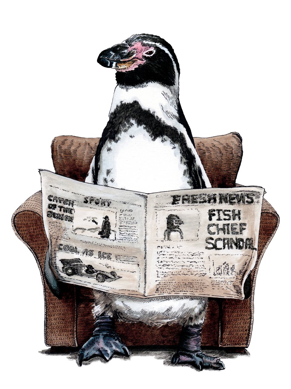Retirement Penguin on White, 2020 av Mike Davis