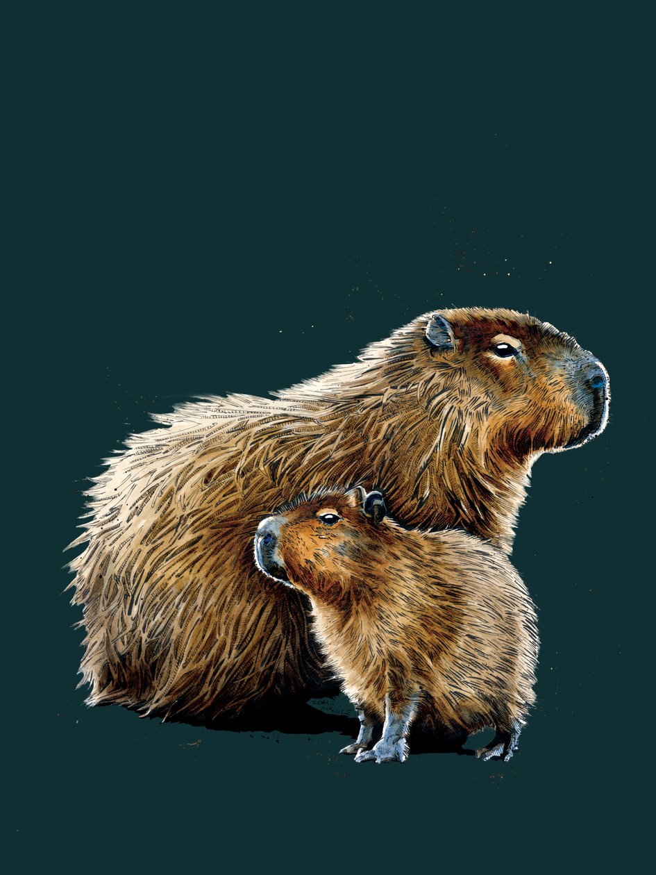 The Capybaras on Deep Cyan, 2020 av Mike Davis