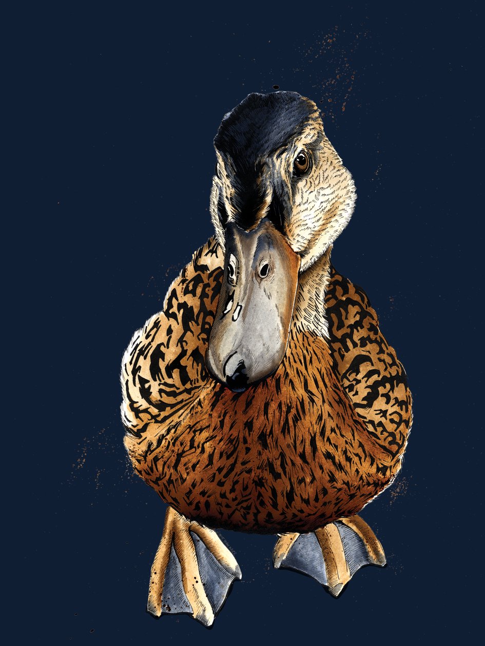 The Duck on Midnight Blue, 2020 av Mike Davis