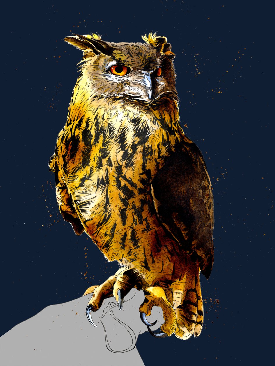 The Eagle Owl on Midnight Blue, 2020 av Mike Davis