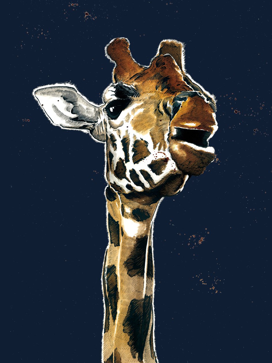 The Giraffe on Midnight Blue, 2019 av Mike Davis