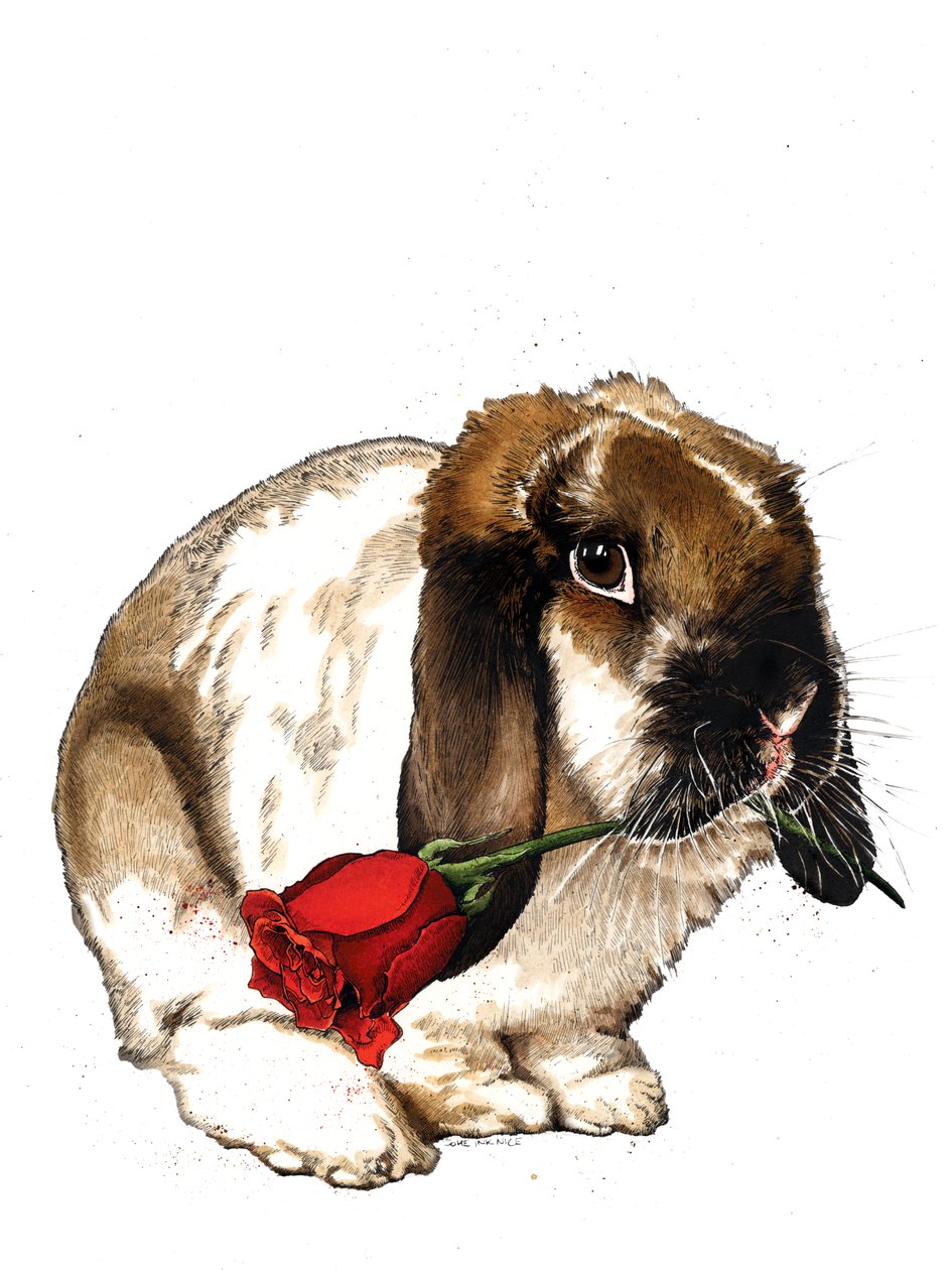 The Love Bunny on White, 2020 av Mike Davis