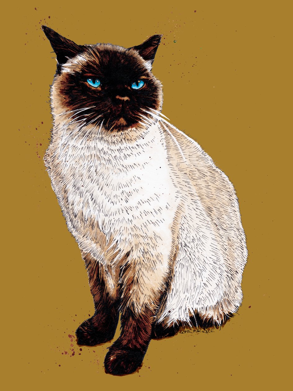 The Siamese Cat on Golden Yellow, 2020 av Mike Davis
