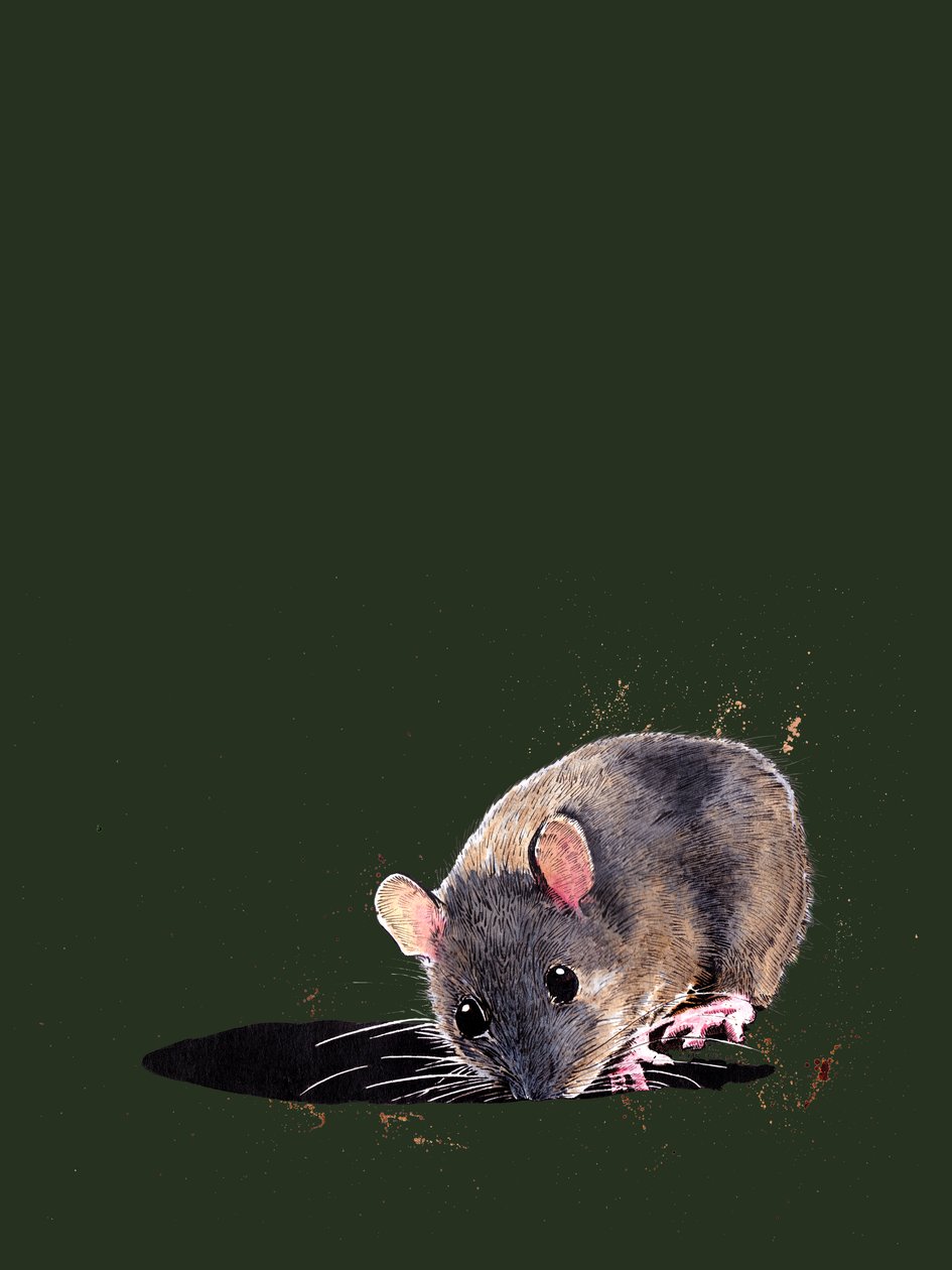 The Woodmouse on Forest Green, 2020 av Mike Davis