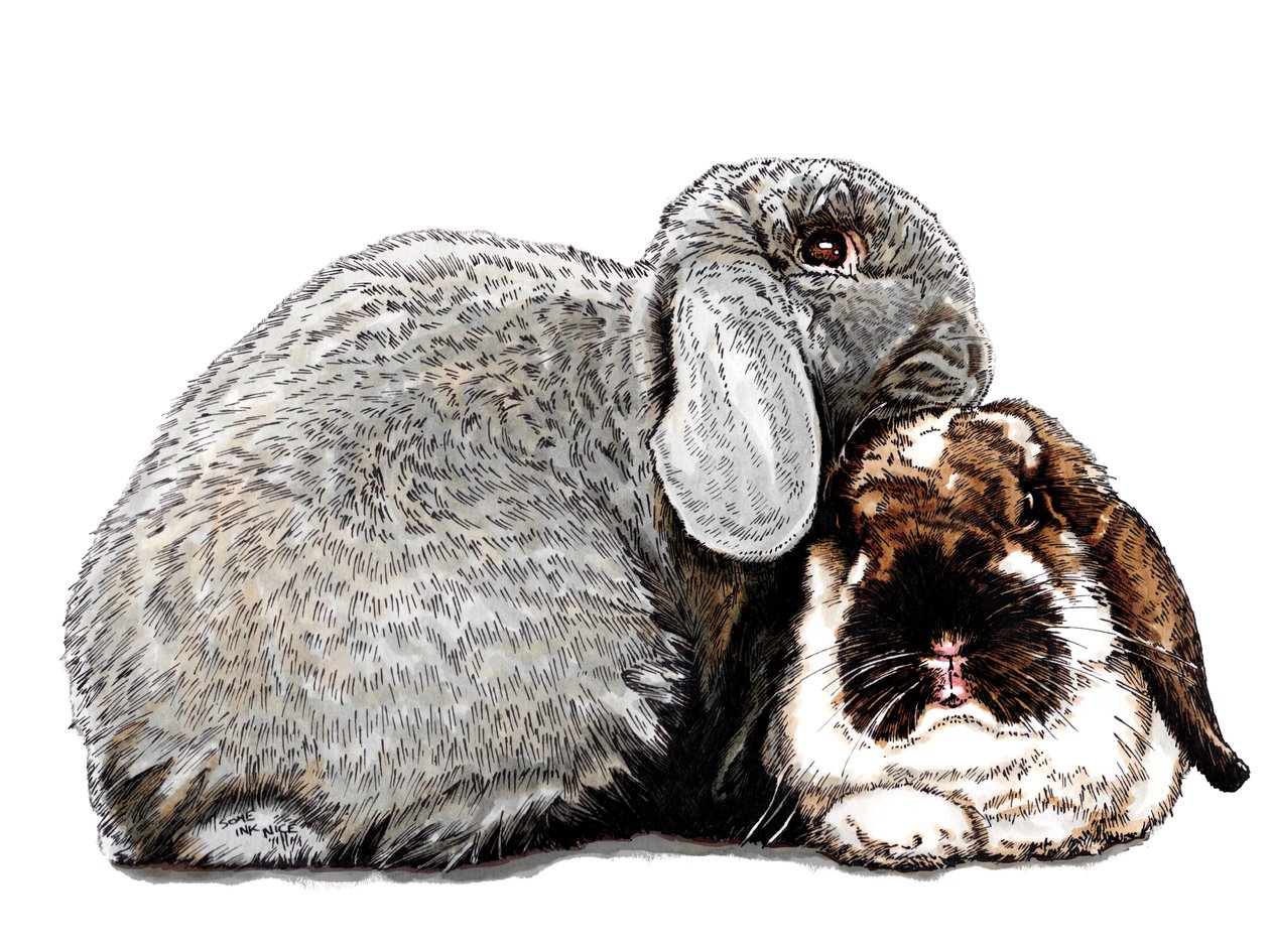 Tenker på Bunnies on White, 2020 av Mike Davis