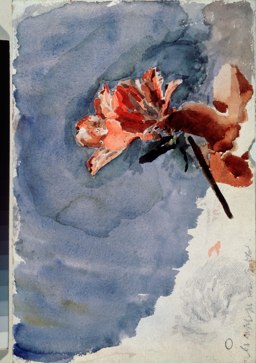 The Red Azalea (Red Azalea) - Kunstverk av Mikhail Alexandrovich Vrubel (Vrubel) (1856-1910) akvarell på papir av Mikhail Aleksandrovich Vrubel